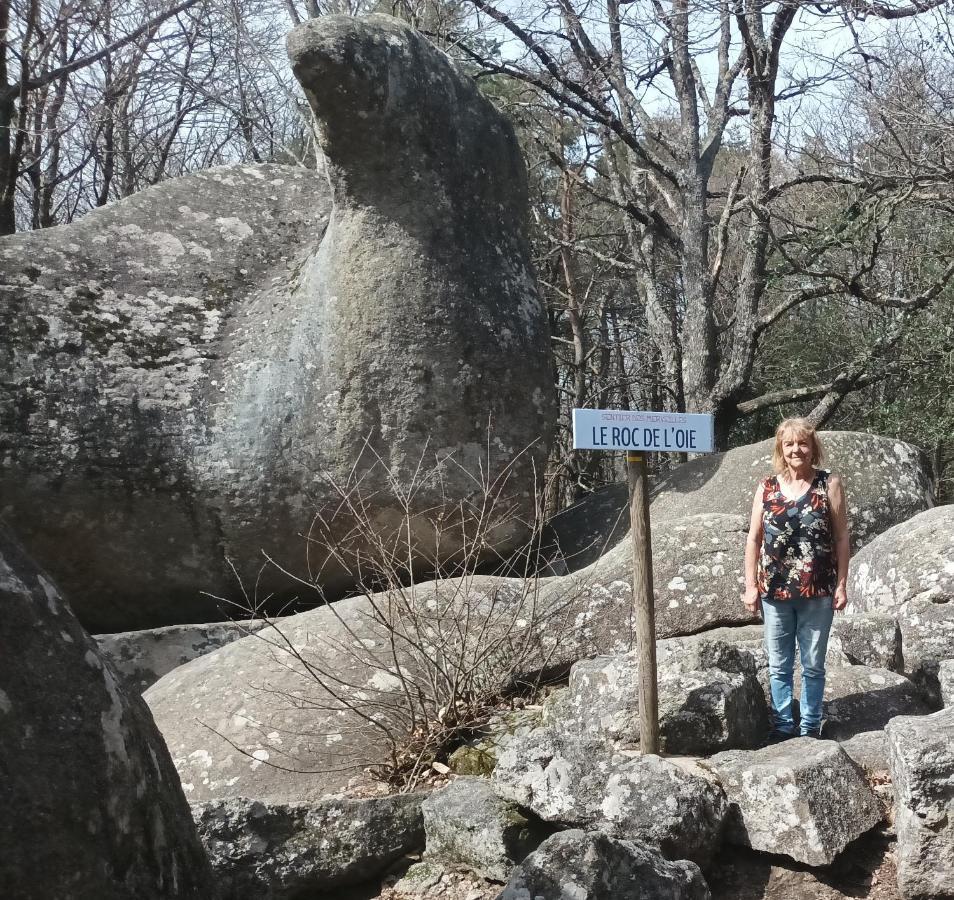 Gite Le Coumis 1370 Saint-Salvy-de-la-Balme Luaran gambar